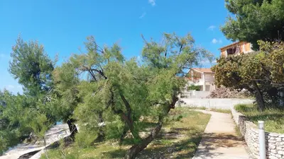 Priroda u blizini apartmana