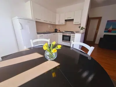 Kuhinja ili čajna kuhinja u objektu Apartment ARIELA